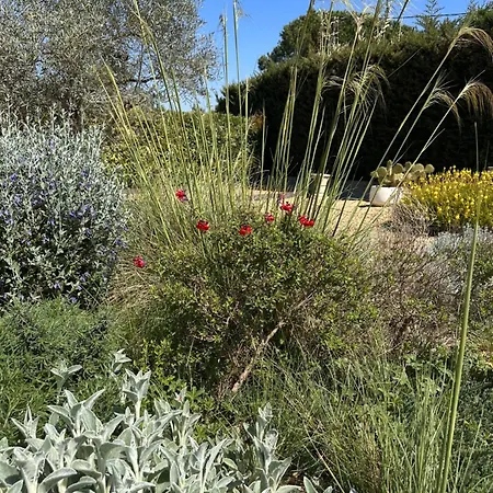 Willa Village Villa, Private Pool, Canal Du Midi